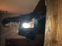 review thumbnail images 9