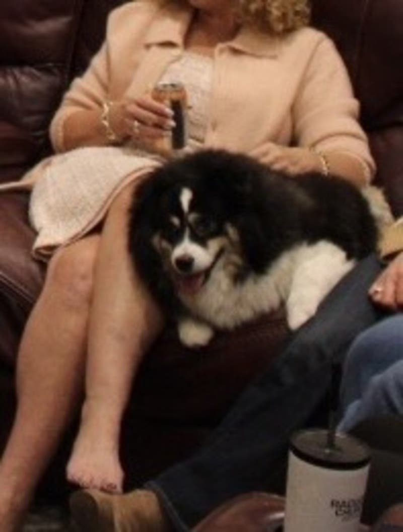 review thumbnail images 0