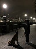 review thumbnail images 9