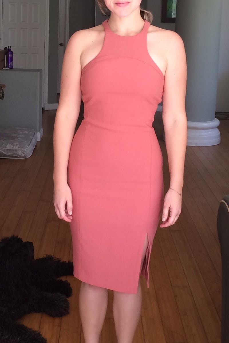Dorothyrose