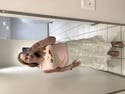 review thumbnail images 3