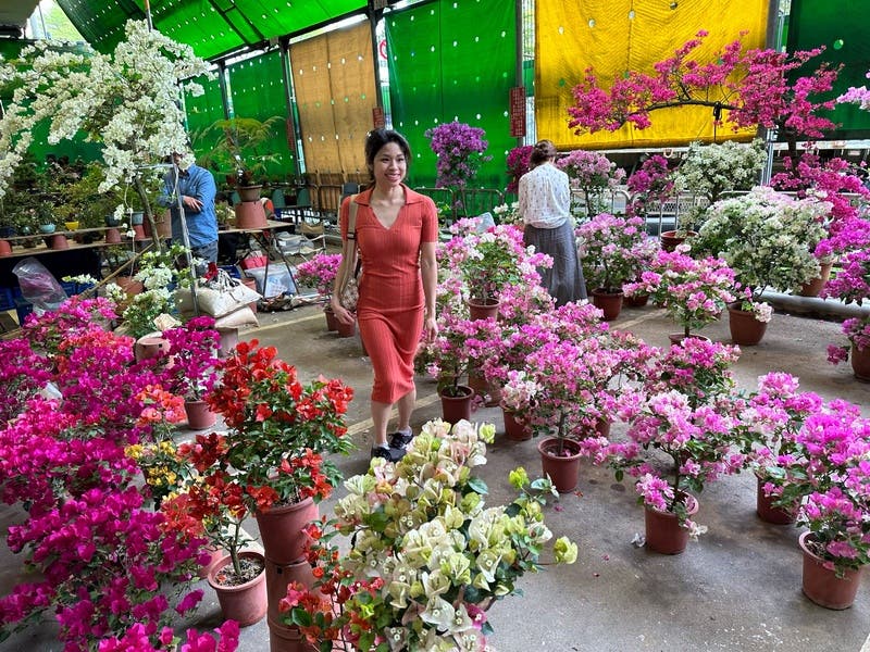 review thumbnail images 12