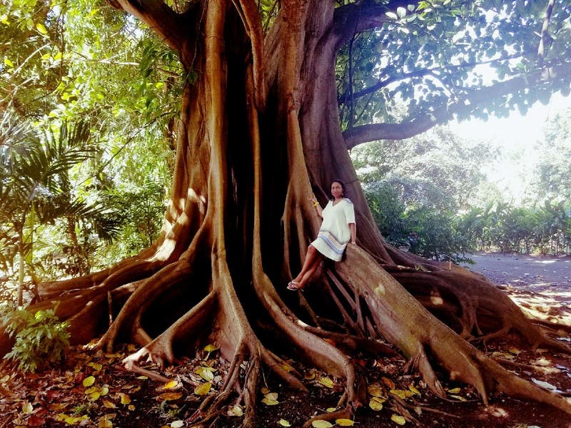 review thumbnail images 7