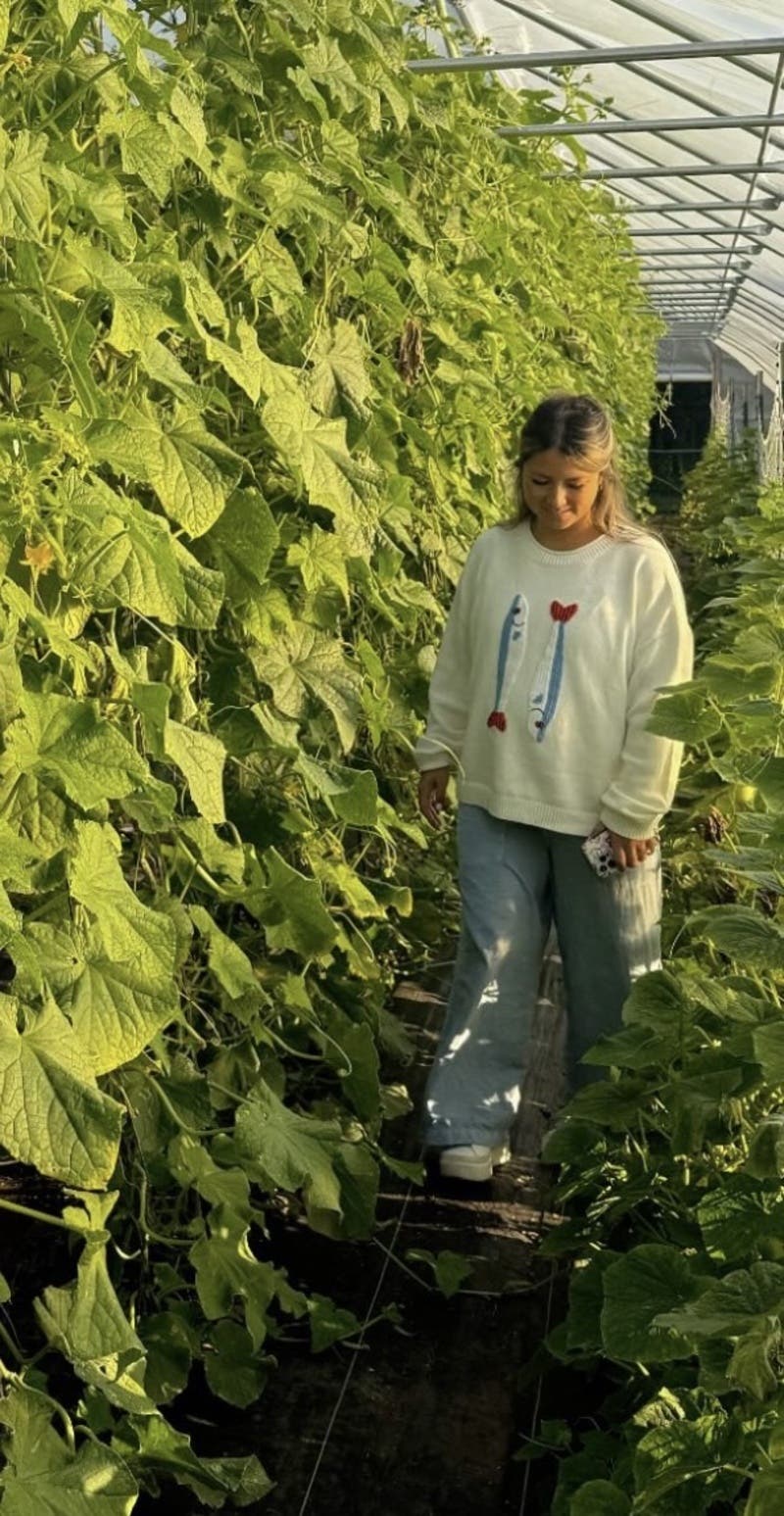 review thumbnail images 2