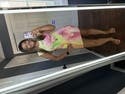 review thumbnail images 19