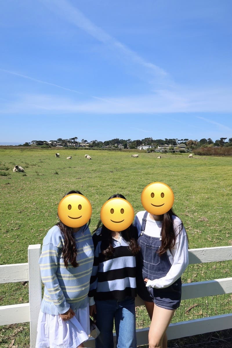 Member review photo