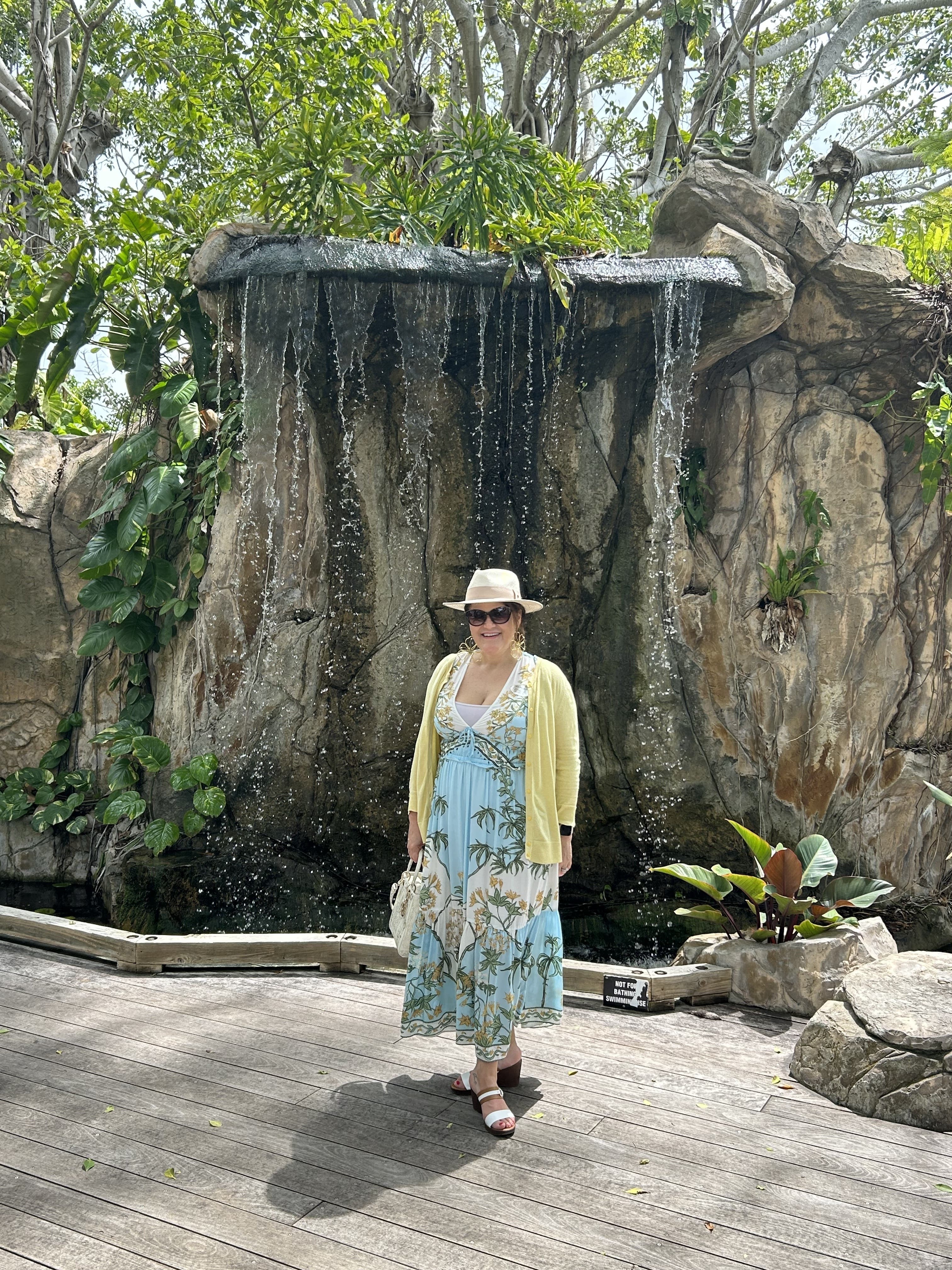 Member review photo