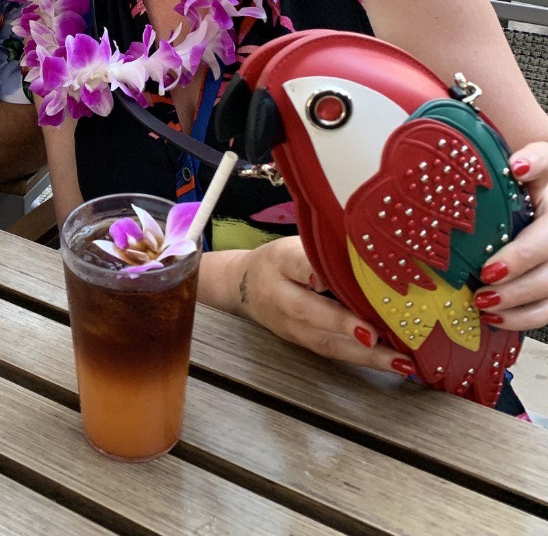 新品完売品 ケイトスペードニューヨーク RIO PARROT CROSSBODY Rio Parrot Crossbody | Kate Spade New York