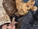 review thumbnail images 3