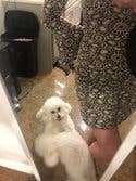 review thumbnail images 9