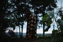 review thumbnail images 16
