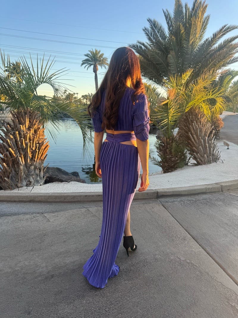 Elainea