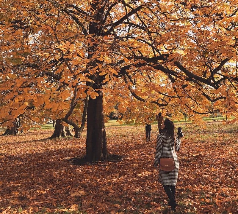 review thumbnail images 15