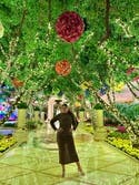 review thumbnail images 11