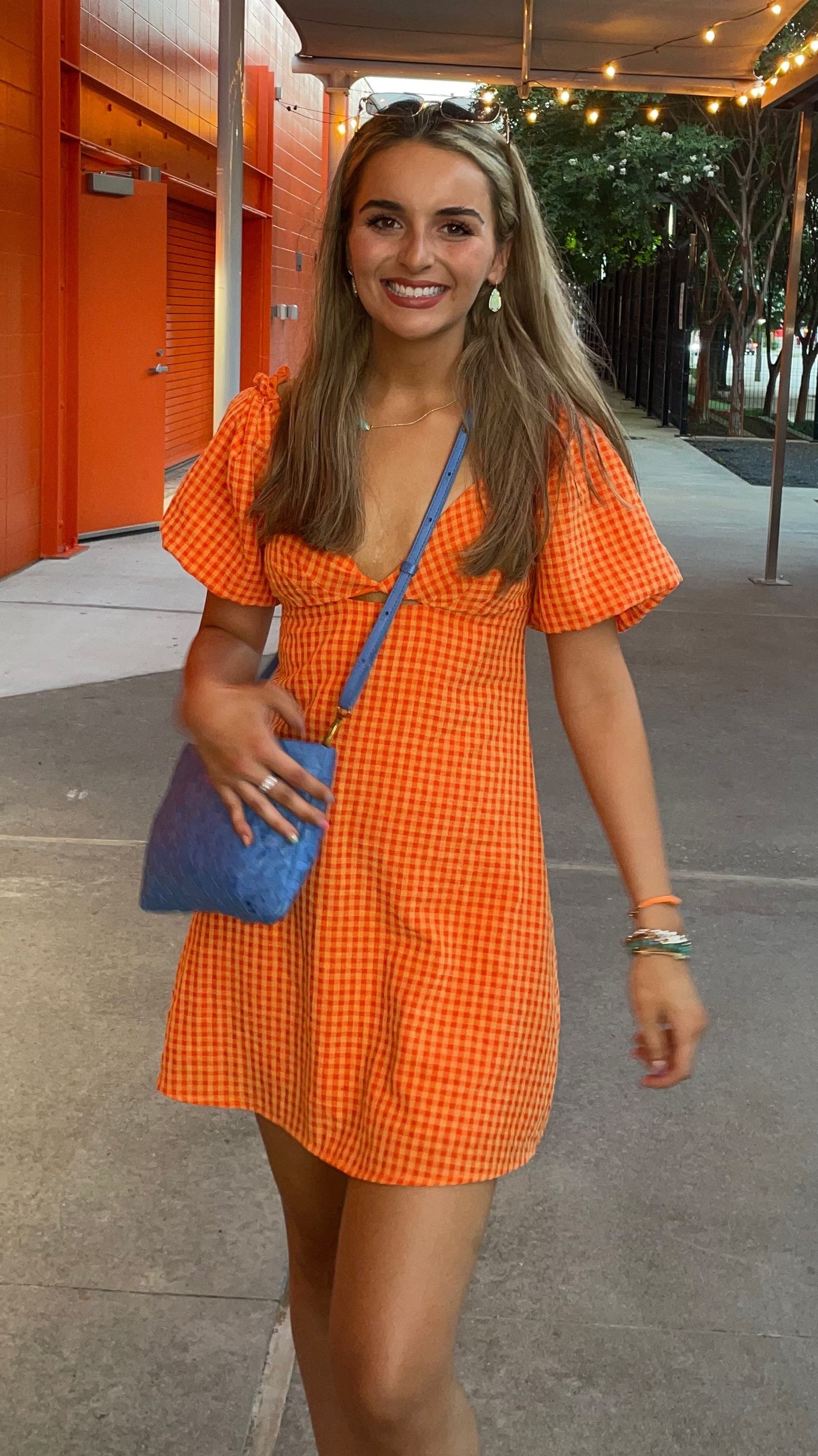 nikita mini dress Nikita Mini Dress