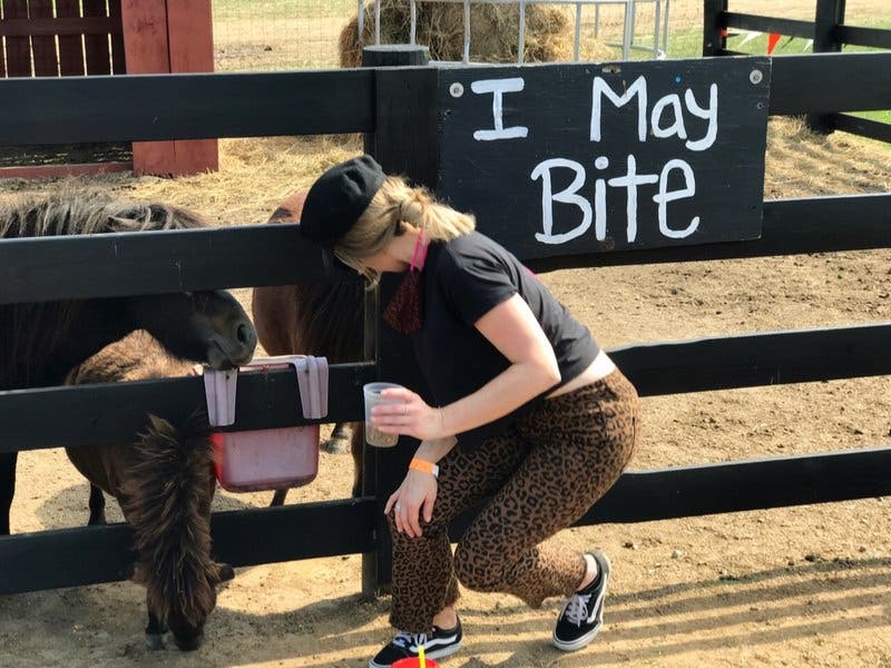 review thumbnail images 12