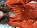 review thumbnail images 6