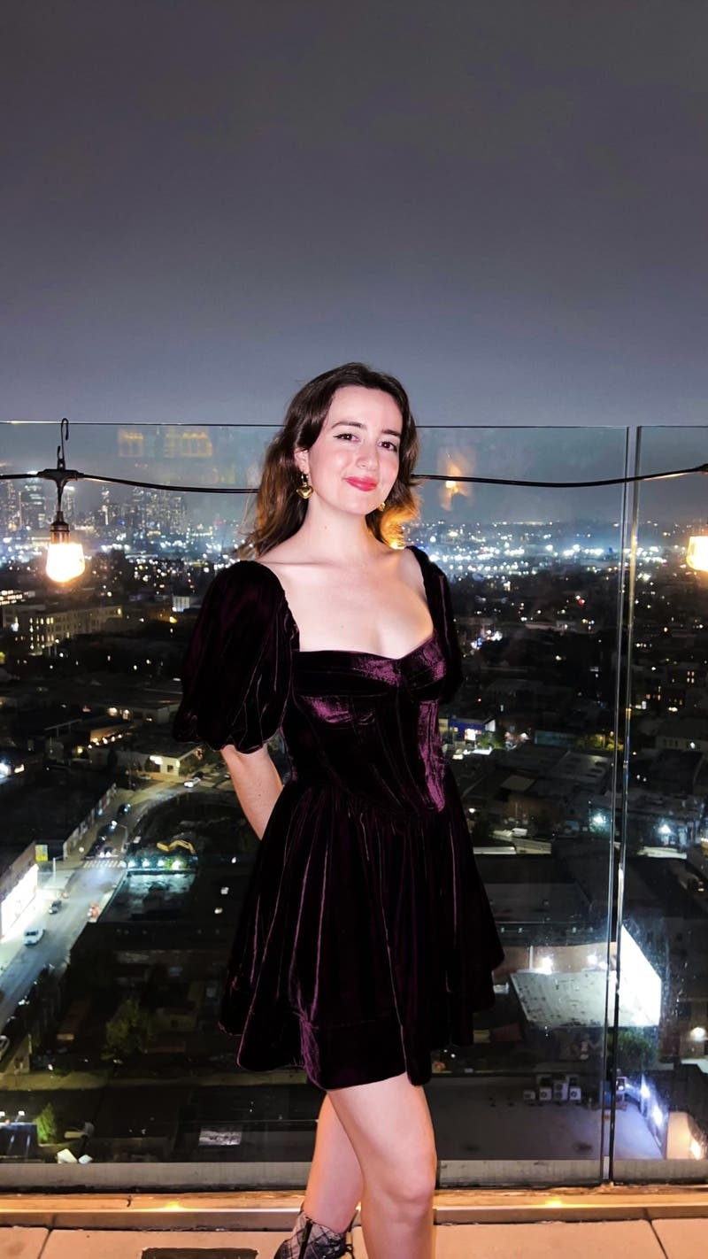 パーティードレス Velvet Architrave Corset Mini Dress Velour Corset Mini Dress by Bardot | Rent the Runway