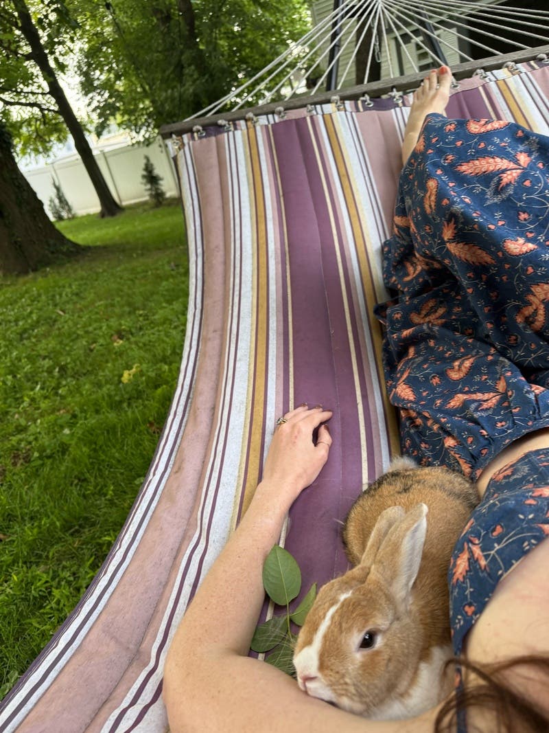 review thumbnail images 5