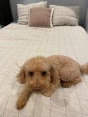 review thumbnail images 2
