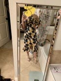 review thumbnail images 7