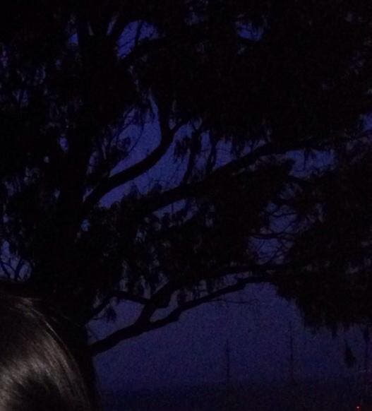 review thumbnail images 5