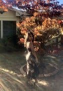 review thumbnail images 9