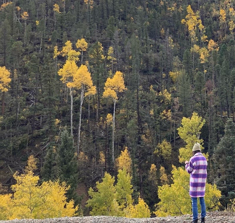 review thumbnail images 5