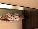 review thumbnail images 7