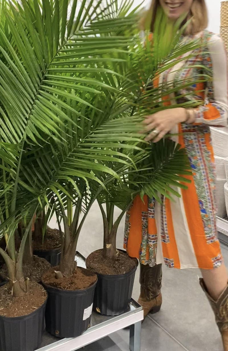 review thumbnail images 4