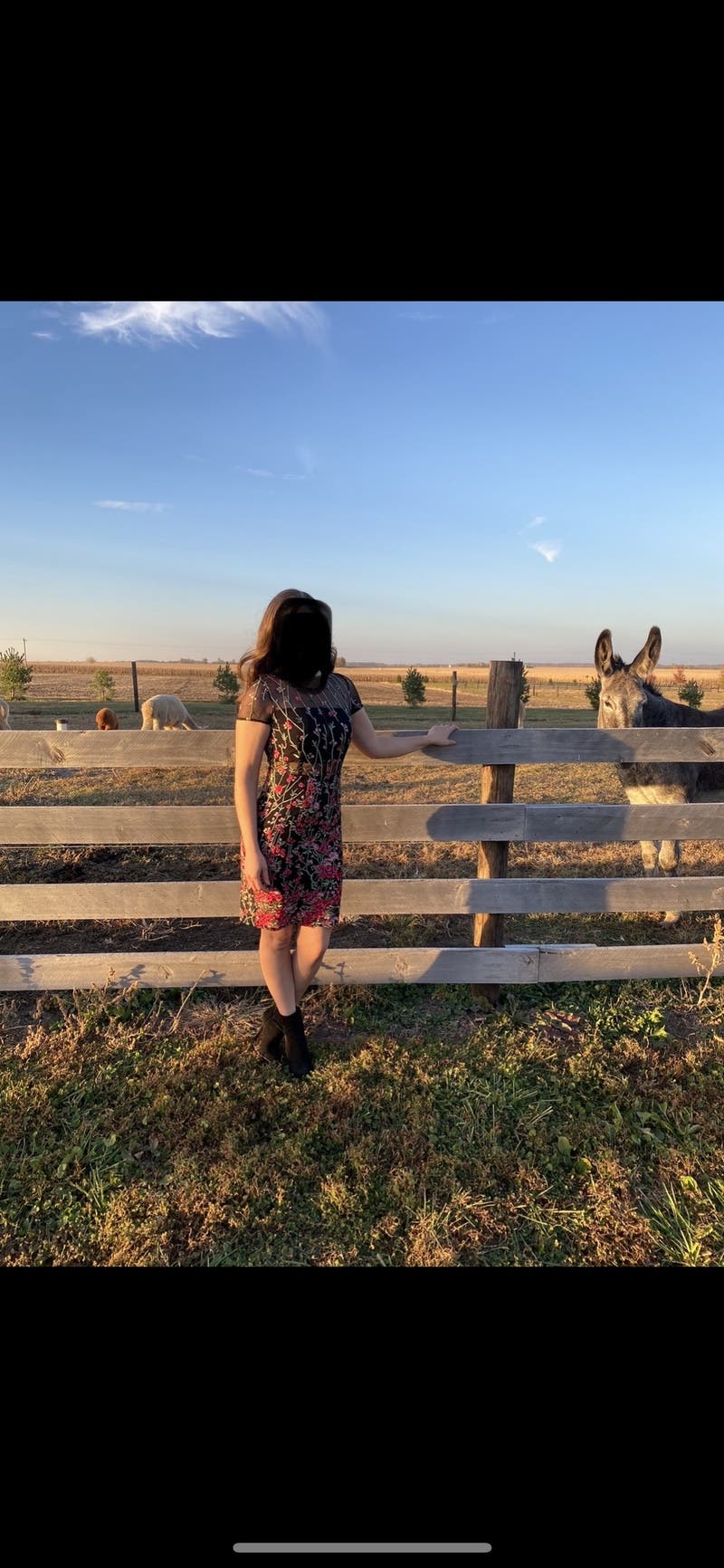 review thumbnail images 9