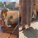review thumbnail images 2