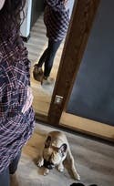 review thumbnail images 0