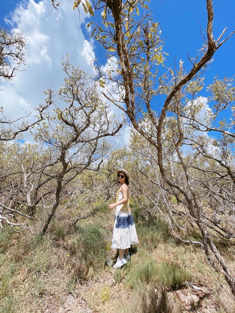 review thumbnail images 6