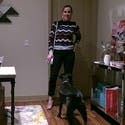 review thumbnail images 5