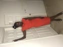 review thumbnail images 6