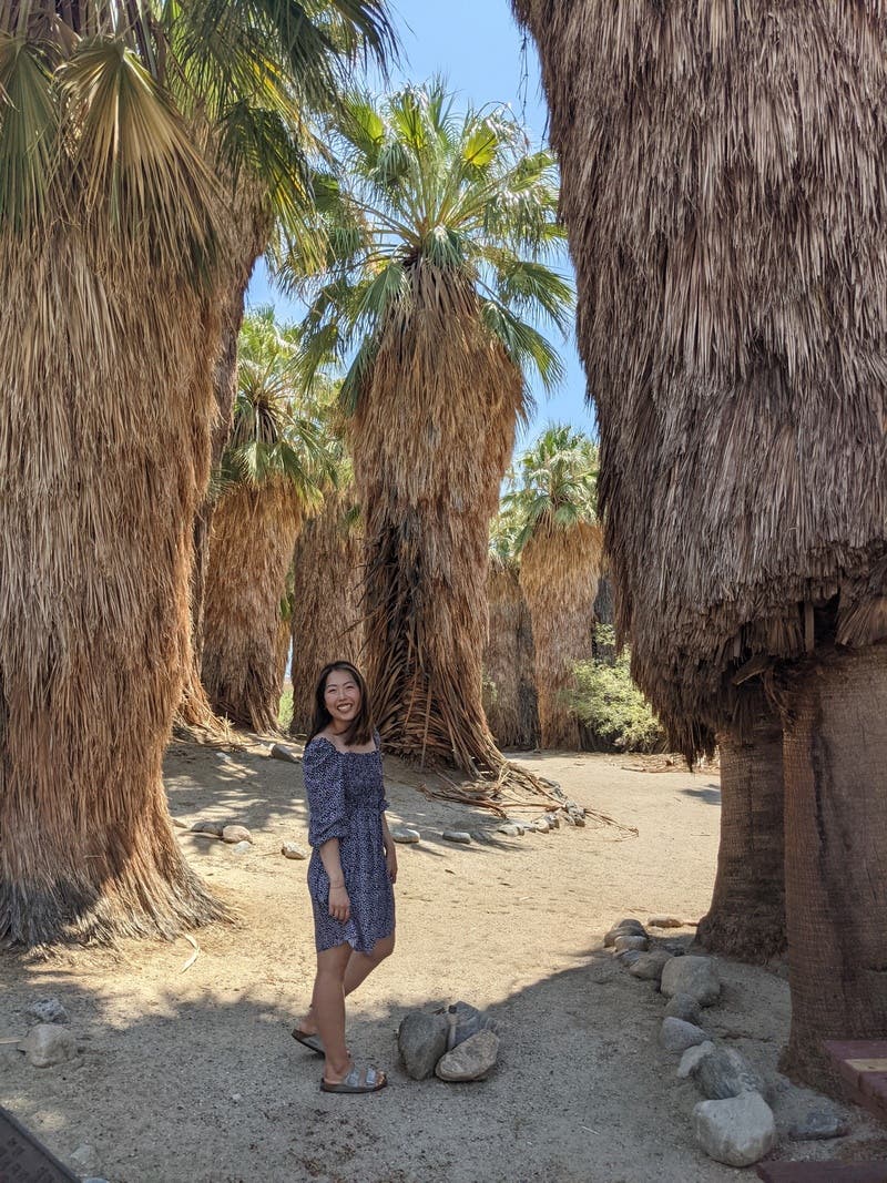 review thumbnail images 16