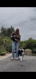 review thumbnail images 1