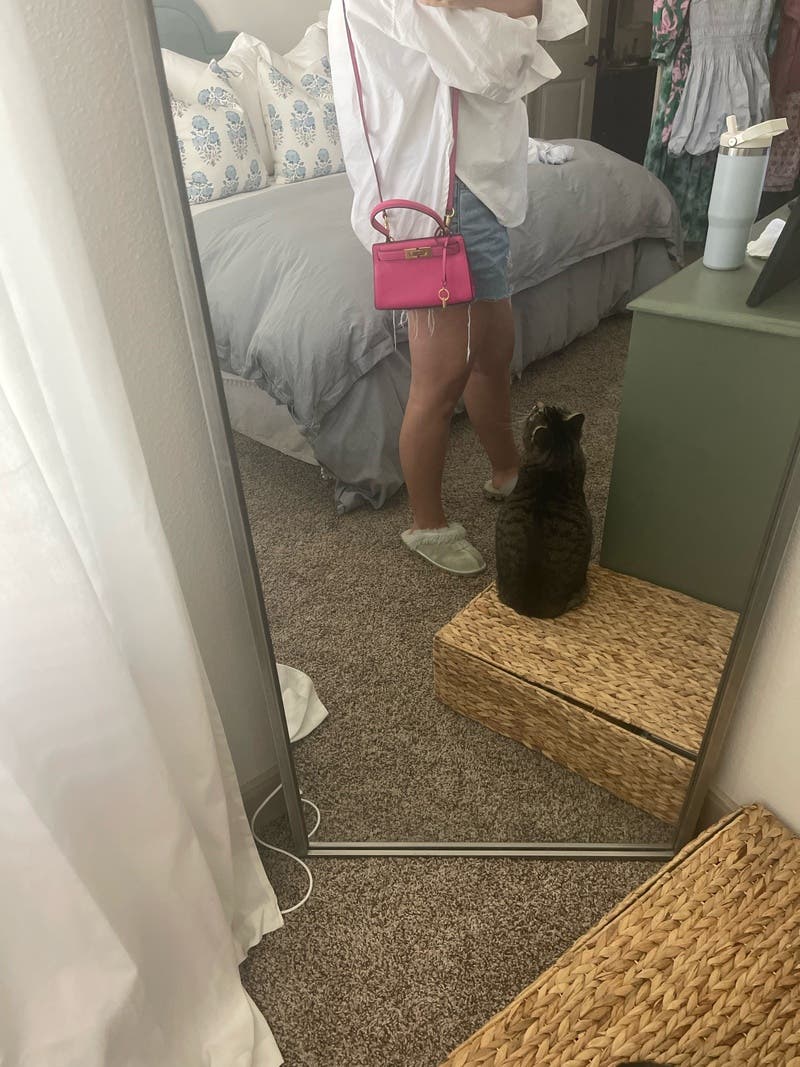 Crazy Pink Lee Radziwill Petite Bag by Tory Burch