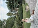 review thumbnail images 18