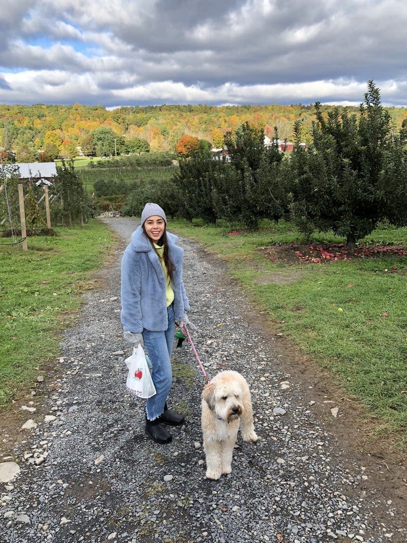 review thumbnail images 13