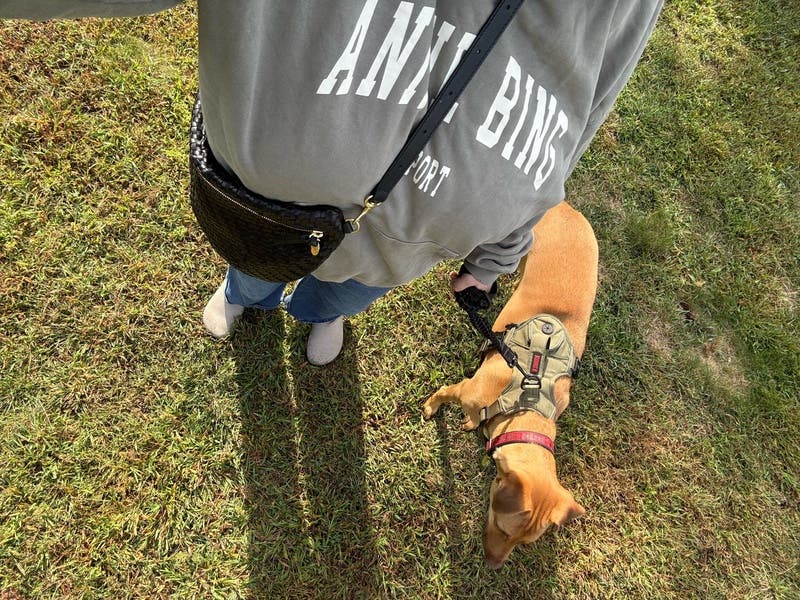 review thumbnail images 3