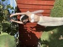 review thumbnail images 16