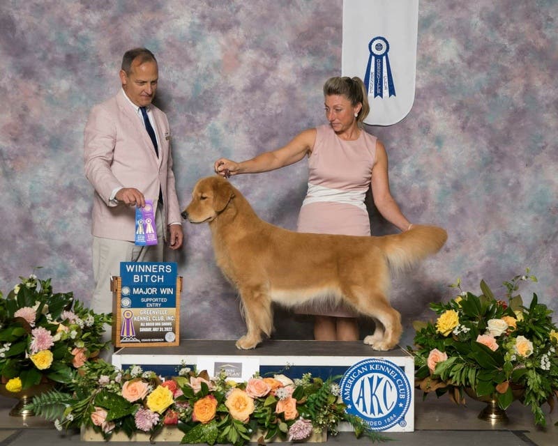 review thumbnail images 17