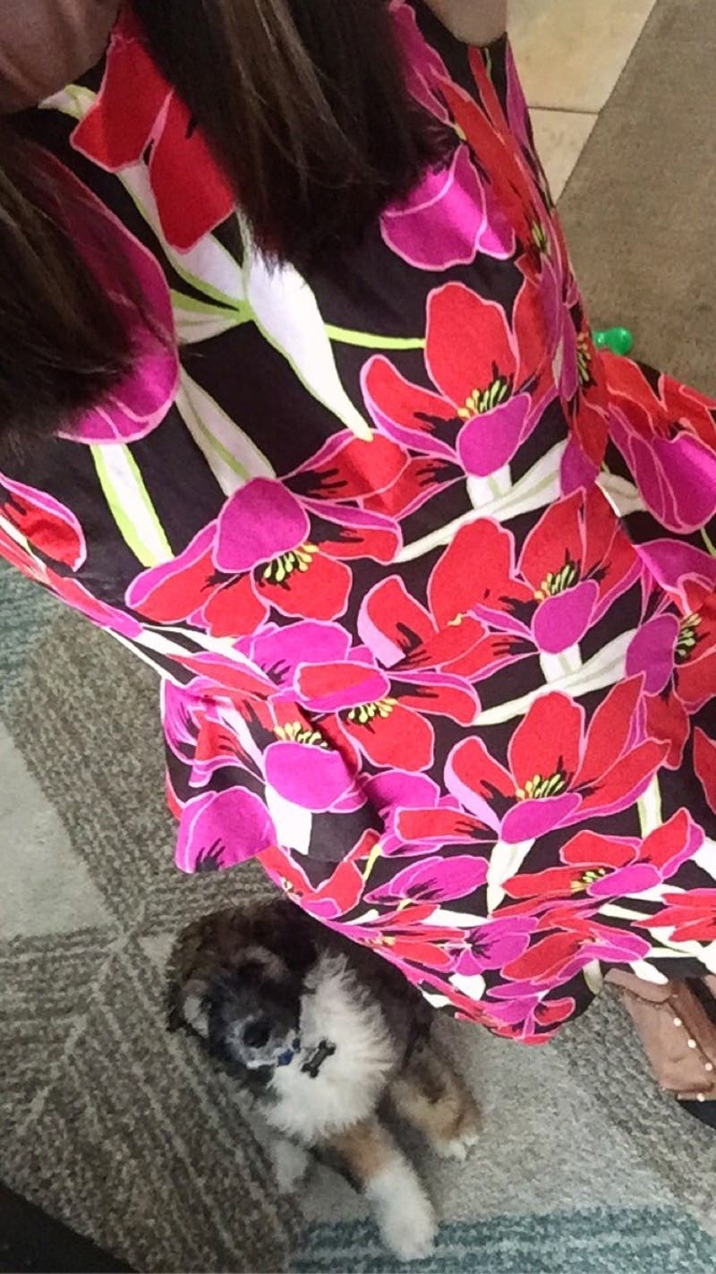 review thumbnail images 11