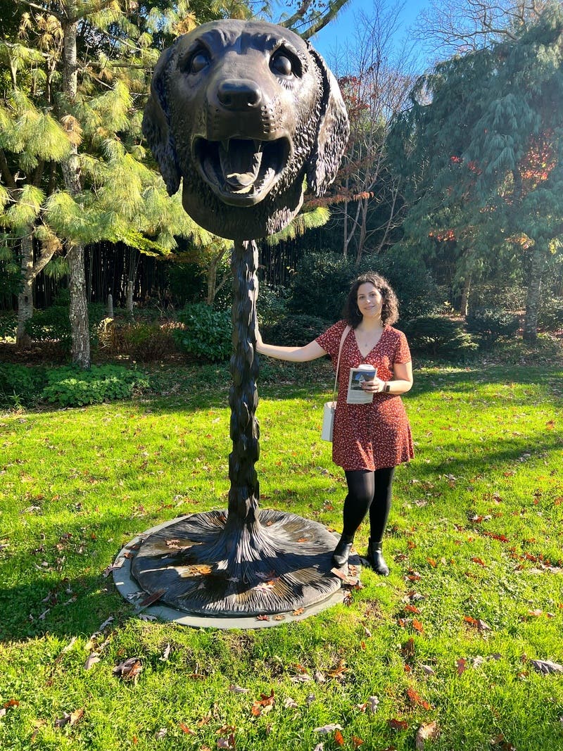 review thumbnail images 9