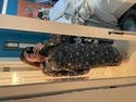 review thumbnail images 19
