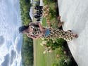 review thumbnail images 5