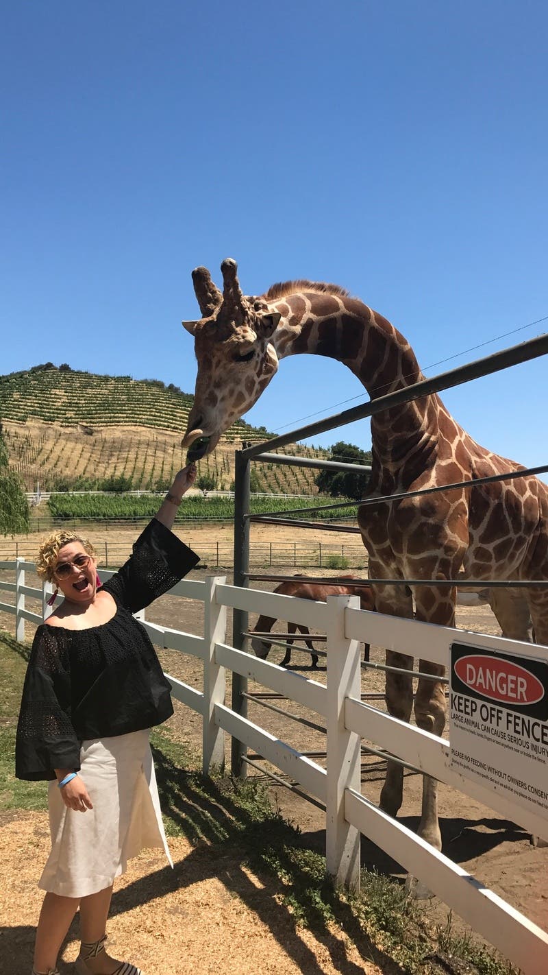 review thumbnail images 14