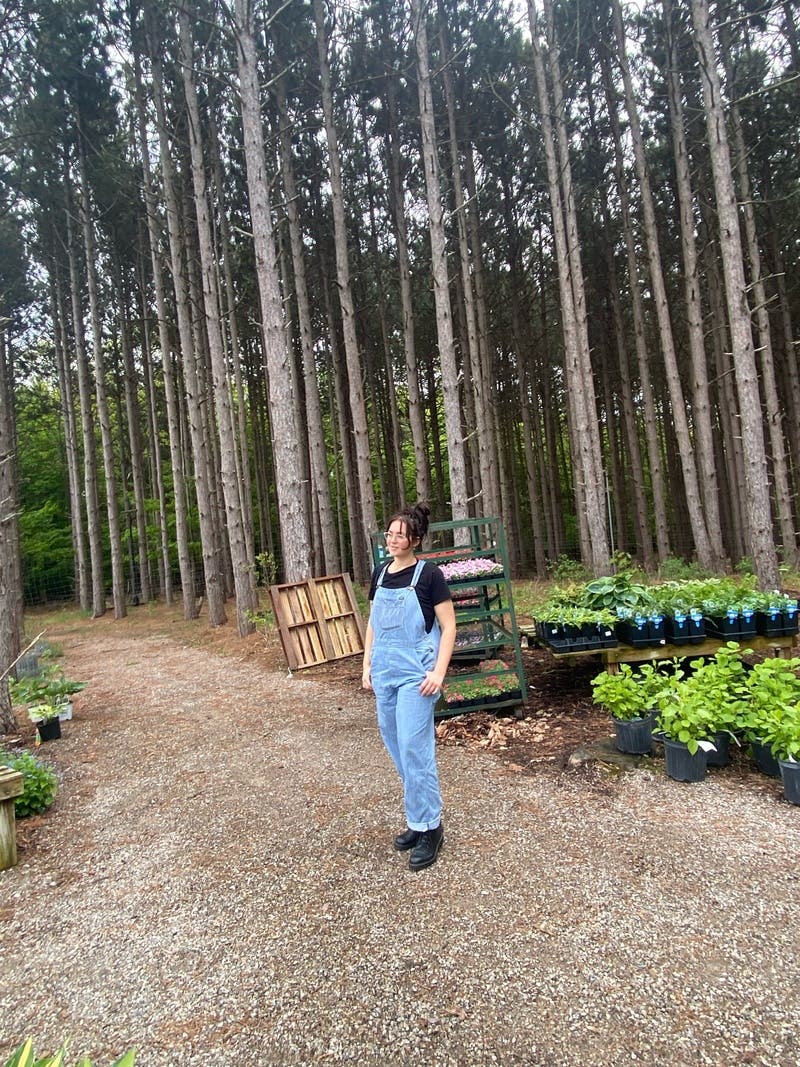 review thumbnail images 4